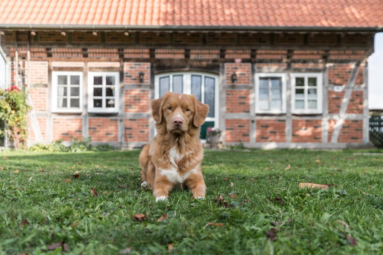 Fachwerk-Ferienhaus, Ruhe Auf Dem Land, Haustiere Willkommen, Leihfahrraeder, 24-7 Check In Kirchlinteln Exteriér fotografie